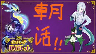 (1/2)【ポケモンSV】のんびりと、ポケモンで朝活！噂の非凡なサラリーマン【２週目】