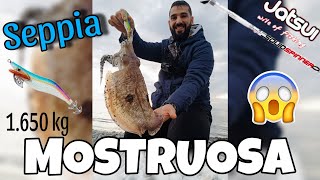 Una SEPPIA MOSTRUOSA A EGING😱🐙 4 catture e molte e slamate |Pesca a Trebisacce| Jatsui Squid Hunter