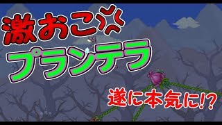 Part#90【テラリア】プランテラが発狂！？PS4 Terraria実況