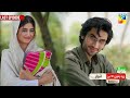 Zard Patton Ka Bunn - Mega Last Ep 25 Promo - Sunday At 08 Pm Only On HUM TV