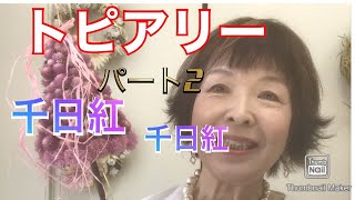 トピアリー創りましたよpart❷