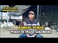 BAWANG DEMAK PENUH DI PASAR SUKOMORO | UPDATE HARGA BAWANG MERAH BJM CHANNEL