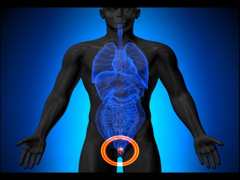 How to Treat an Enlarged Prostate Naturally - Enlarged Prostate Cure How to Treat an Enlarged Prostate Naturally - Enlarged Prostate Cure