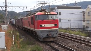 高速コンテナ列車 3094レ EF510-1(富山)試作機＋コキ19両 山科駅 通過 2023年10月14日(土)撮影