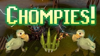 Trimmed Completionist Guides - Chompy Birds!