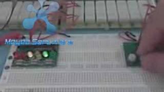 Microprocessor Systems Lab 1; Video