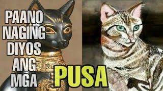 Bakit naging Diyos ang mga PUSA?