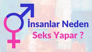 İnsanlar Neden Seks Yapar