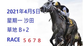 #香港賽馬貼士 #HONGKONGHORSERACINGTIPS 香港賽馬貼士 HONG KONG HORSE RACING TIPS RACE 5 6 7 8