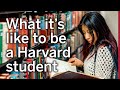 What it's like to be a Harvard Student | Social Studies, Senior Thesis, Cultural Communities