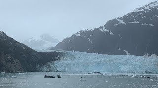 阿拉斯加之旅Crown Princess 启航