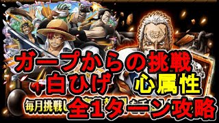 【トレクル】 ガープからの挑戦！白ひげ/心属性/全1ターン編成/Garp Challenge【OPTC】【ONEPIECE TREASURECRUISE】