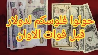 تعالوا شوفوا حولت فلوسي كلها لدولارات في ثواني اختراع