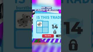 OMG MY DALMATIAN FOR BIG OVERPAY?! | Adopt Me Trading #roblox #adoptme #adoptmeroblox