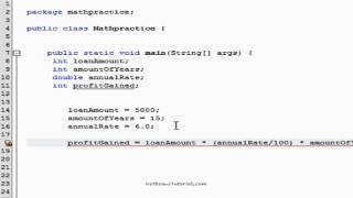 Using variables in equations with Netbeans IDE