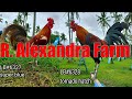 Lets Visit The Farm Of R  Alexandra Farm