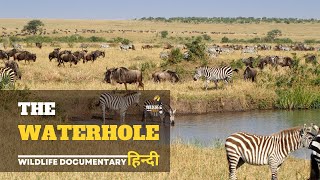Wildlife documentary in hindi - The WaterHole | Wild Animals in Africa, हिन्दी डॉक्यूमेंट्री