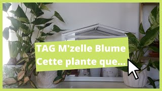 TAG Cette plante que...