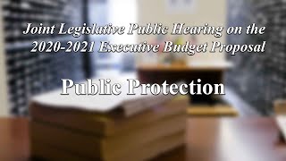 Joint Legislative Public Hearing on 2020-2021 Executive Budget Proposal: Topic Public Protection