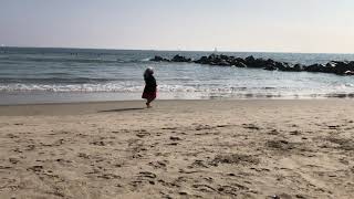 Panorama at Venice Beach October 7 2020