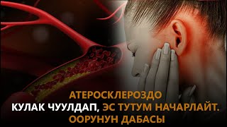 Атеросклероздо кулак чуулдап, эс тутум начарлайт. Оорунун дабасы