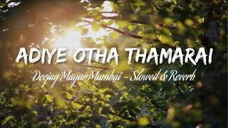 Adiye Otha Thamarai | (Slowed&Reverb) -  Deejay Mayur Mumbai