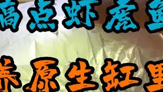 原生缸养好水了，看一下这次养的什么虾虎鱼 养鱼日记 原生缸 虾虎 原生缸造景