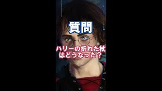 【解説】映画 ハリーポッターと死の秘宝 ハリーの折れた杖はどうなった？実はニワトコの杖で〇〇#shorts #ハリーポッター #ファンタビ