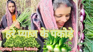 हरे प्याज की पकौड़े | Spring Onion Pakoda |Hare Pyaz Ke Pakode#pakoda #onion_pakoda @sushilaverma511