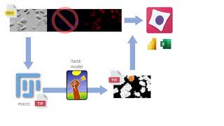 Fiji, ilastik, Cellprofiler - Workflow Series Part 0