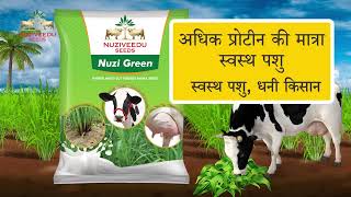 Nuziveedu seeds Nuzigreen multicut bajra for fodder