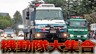 【警視庁機動隊】はたらくくるま大行進！！荘厳すぎる機動隊観閲式を取材|乗りものチャンネル