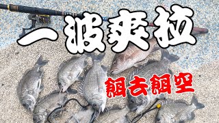 頭前溪出海口 這波流水，魚多到，拉到連手指頭都受傷了!我的媽呀~