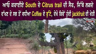 Citrus Trail in South; ਇਥ੍ਹੇ ਹੁੰਦੇ Coffee ਦੇ ਬੂਟੇ ਤੇ Jackfruit ਦੀ ਖੇਤੀ