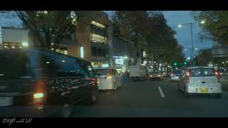 【GoPro9 4K】Harajuku(原宿) to Omotesando(表参道) Tokyo drive 2020 東京ドライブ