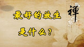 最好的放生是什么？#放生#佛教#禅悟