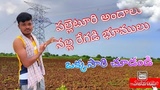 🌴🌴పల్లెటూరు అందాలు నల్ల రేగడి భూములు ఒక్కసారి చూడండి 🌴🌴