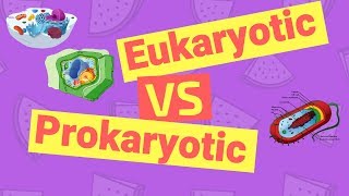 Difference Between Prokaryotic and Eukaryotic Cells