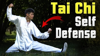 Tai Chi self-defense - does "soft" fighting work?