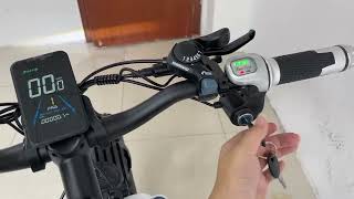 How do I start my SMLRO XDC600 electric bike?