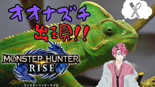 【モンハンRISE】HR20緊急クエスト！VSオオナズチ【＃8】