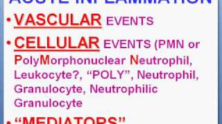 Medical School Pathology, Chapter 2a