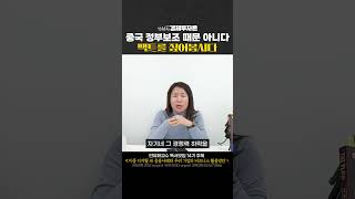 중국 정부보조 때문이 아니다! 팩트를 짚어봅시다