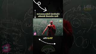 අනේ පවු කියලා හිතෙනවා ඇති #LIFEALERT #Abhidharmaya #Shorts