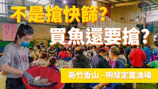 2022-5 新竹 明發定置漁場 | 現撈魚獲拍賣魚市場 | 海山另類漁港