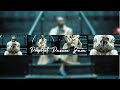 || PROPHETIC FREESTYLE || Prophet Passion Java