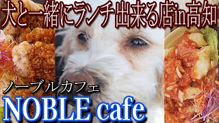 【愛犬】ボリューム満点大満足‼おしゃれなカフェのテラス席で愛犬とランチ【一緒】