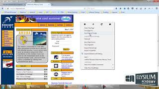 assertTitle command in Selenium IDE
