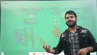 L-4... Applications of biotechnology//Neet//class-12th... bt plant