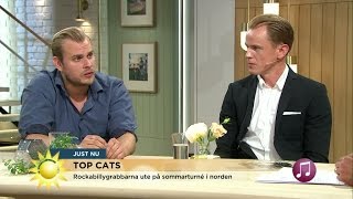 "Rockabilly är stort i Sverige förutom i Stockholm" - Nyhetsmorgon (TV4)